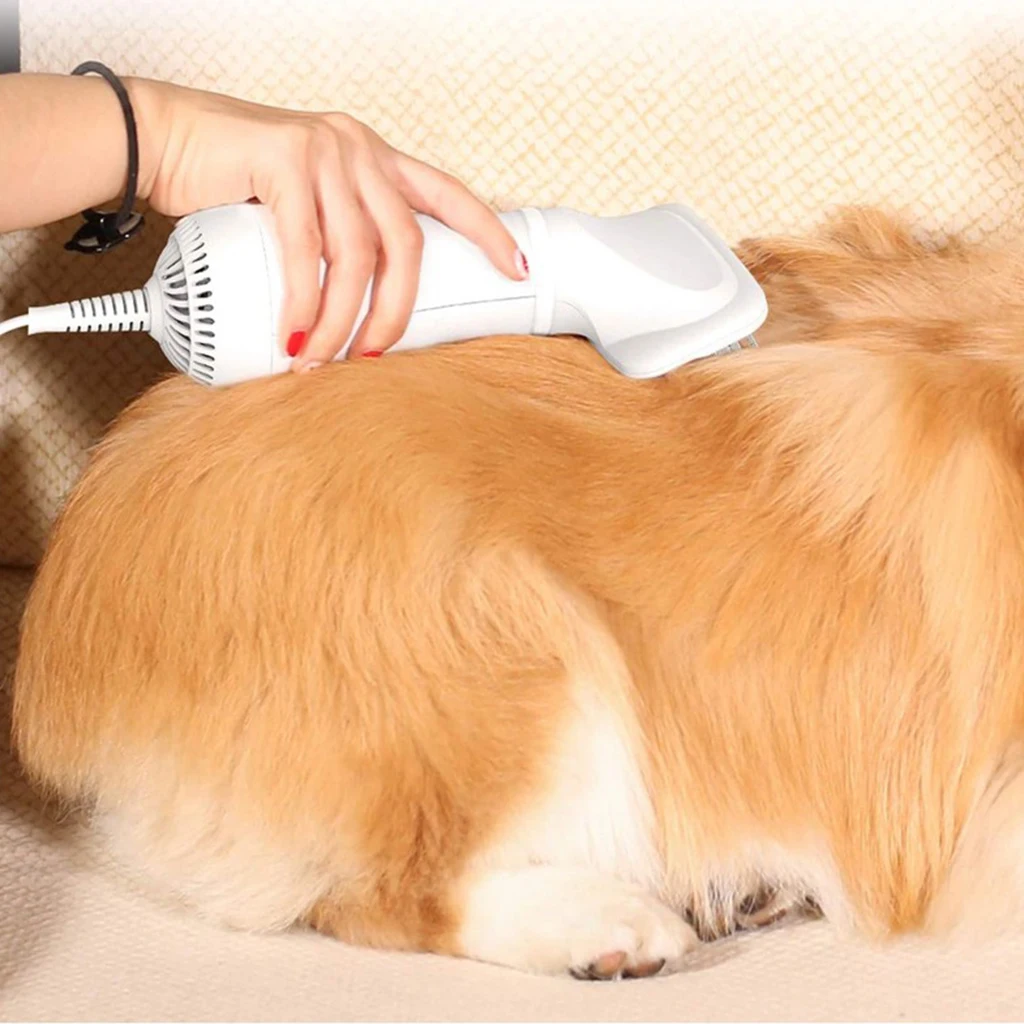 Portable 2-in-1 Pet Hair Dryer Dogs Cats Bathing Blow Brush Home EU Plug