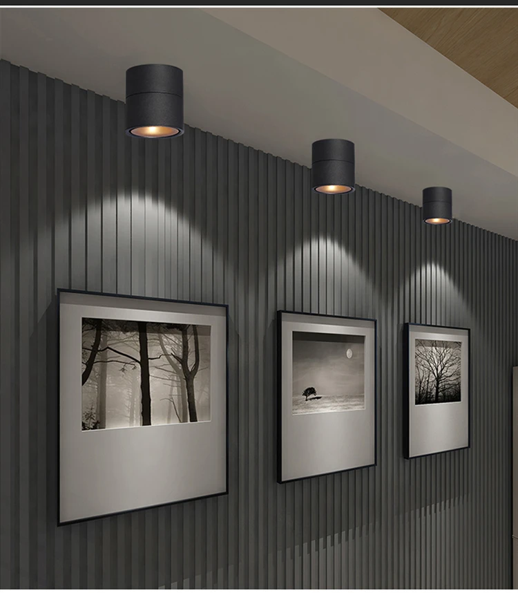 TB23ZGzannI8KJjy0FfXXcdoVXa_!!1982828082