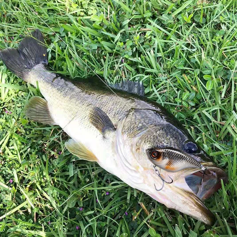 Fishing Lure VIB ratlin and vib for winter hard bait lures 3d 40mm 4.6g sinking all depth pike seabass isca artificial V029 Fishing Lure VIB ratlin and vib for winter hard bait lures 3d 40mm 4.6g sinking all depth pike seabass isca artificial V029