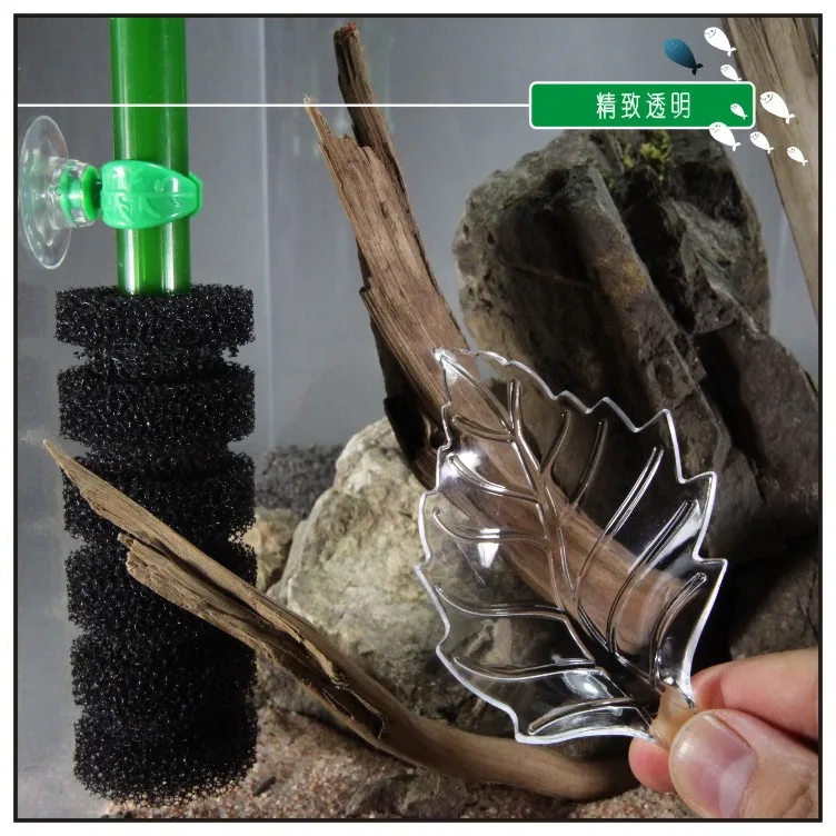 TB23.AqbJXXWeJjSZFvXXa6lpXa_!!756162672