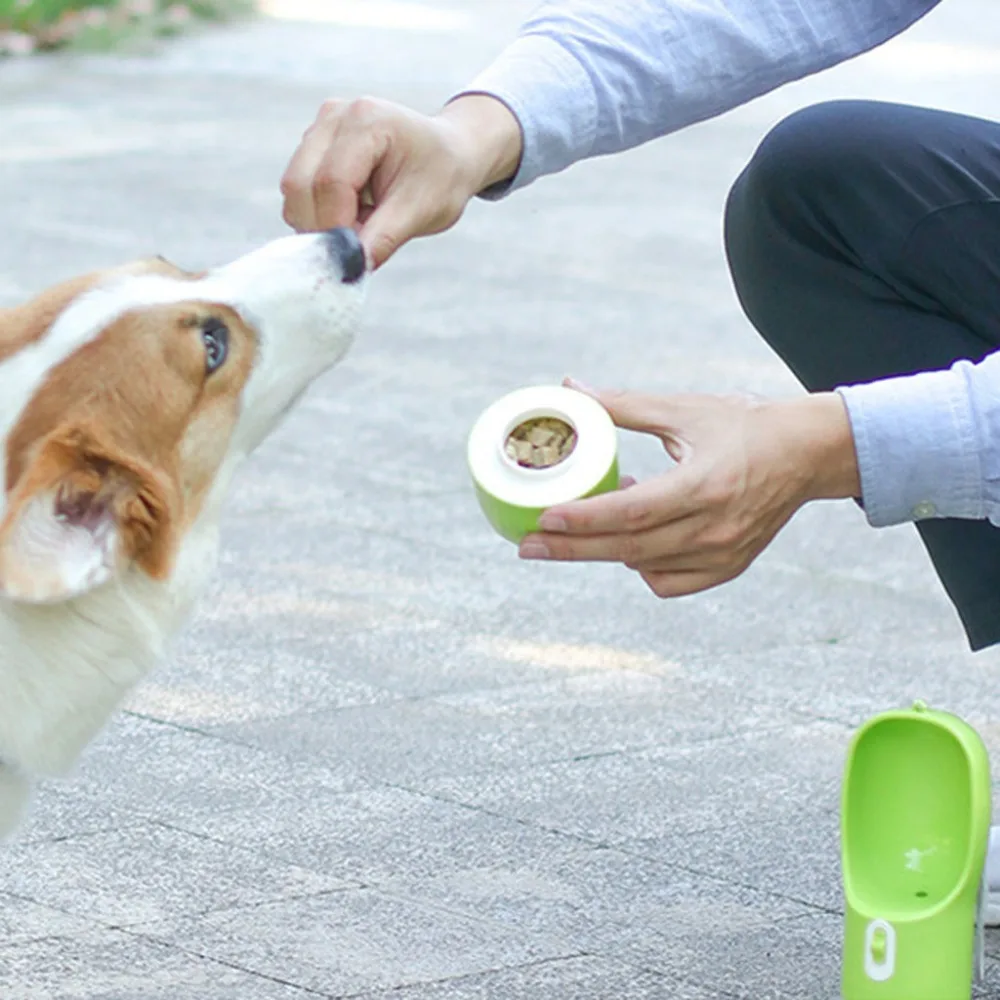 RRX91029009GN_0352359012017765511