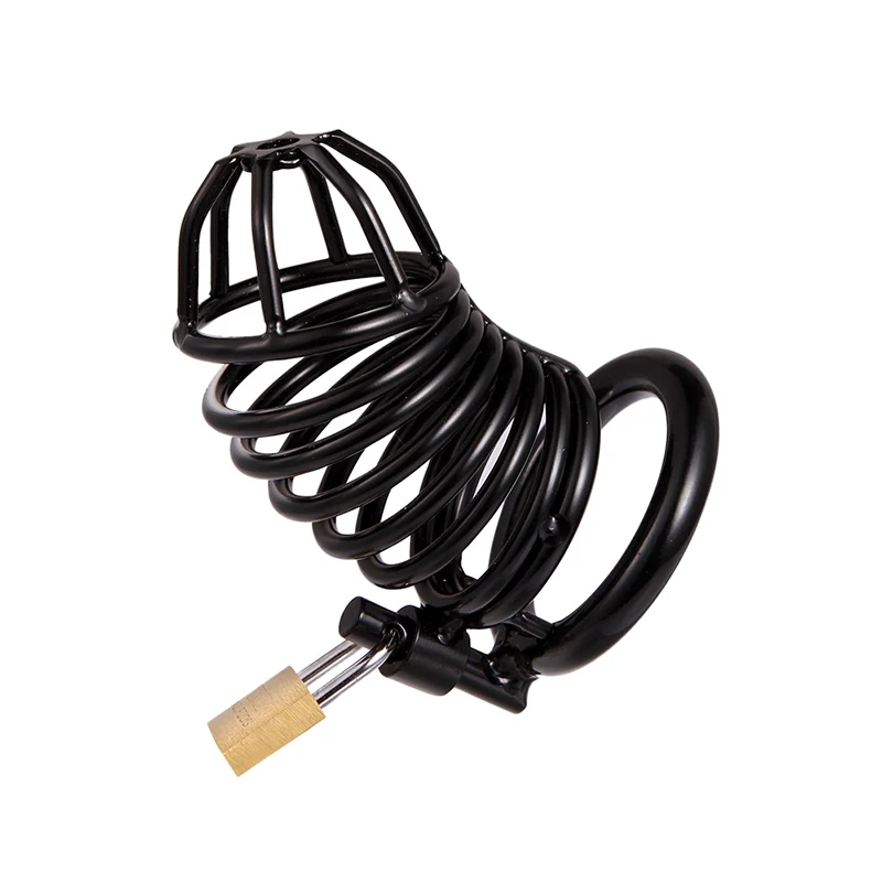 4642144247_1729867249