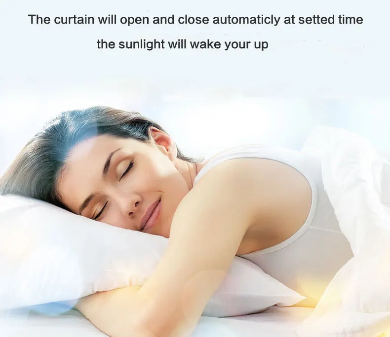 Motorizada Silenciosa, Casa Inteligente, DT82TV, 110-240V, RS485