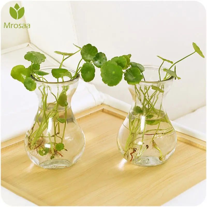 

Small Hydroponic Plant Glass Bottle Glass Vase Creative Nordic Transparent Flower Vase Living Room Decoration Flower Decoration