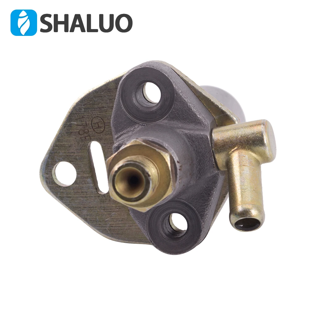 178F-peque-o-generador-Diesel-motor-combustible-bomba-de-aceite-5hp(4)