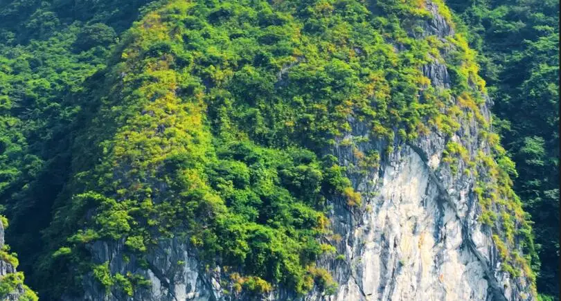 QQ截图20191014215622