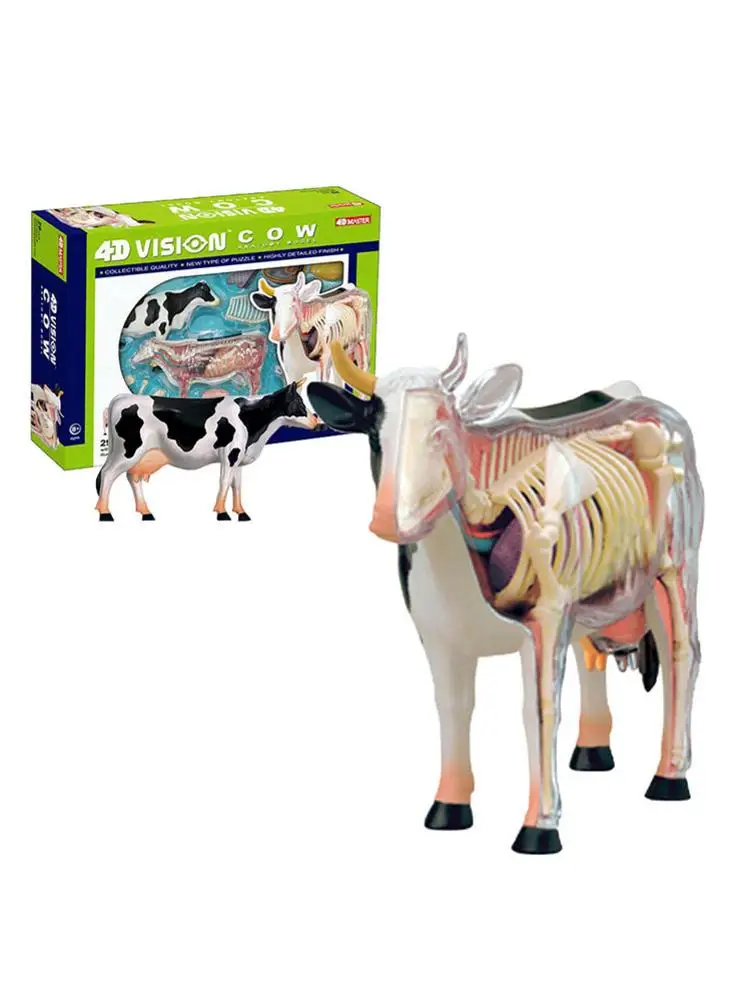 

4D Assembled Cow Horse Anatomy Model Medical Anatomic Animal Puzzles Children Learning Biology Aid Educational Science Toy