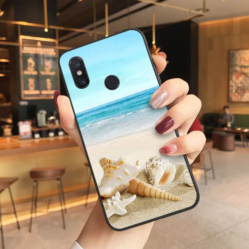 beach starfish blue sky