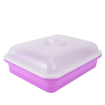 

Nursery Pots Seed Sprouter Tray PP Soil-Free Big Capacity Wheatgrass Grower Seedling Tray Sprout Plate Hydroponic with Lid
