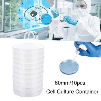 

Bacteria Culture Dish Professional Multifunctional W/Lids Plastic Industrial Disposable Disposable Petri Dishes 10pcs/Bag