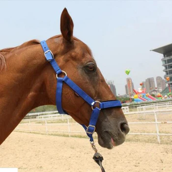 

Adjustable Nylon Equestrian Western Horse Halter Headstall Headcollars