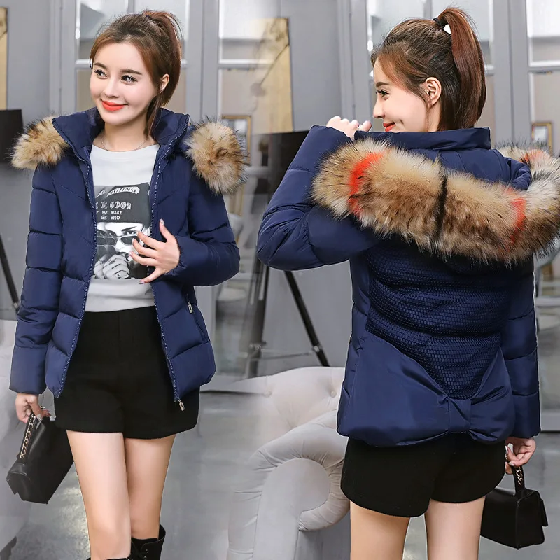 

AliExpress Cotton-padded Clothes Women's Short Winter New Style Slim Fit Hooded Cotton-padded Jacket Korean-style Fur Collar Lar