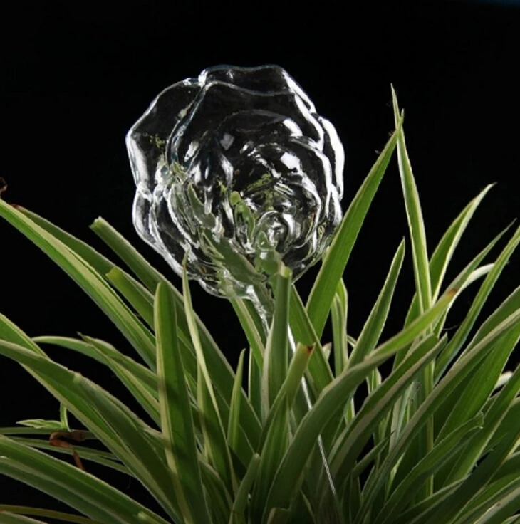 Glass Plant Flowers Water Feeder Automatic Self Watering Devices Bird Star Heart Design Plant Waterer 6 Types