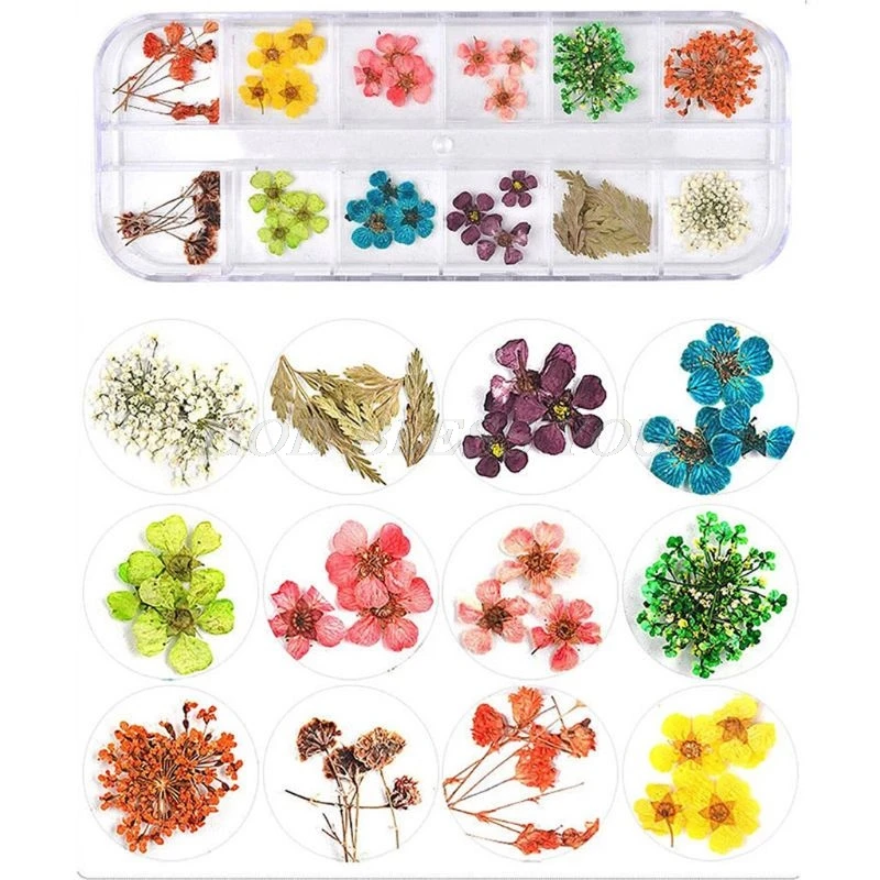 1 коробка настоящих прессованных цветов листья сушеных маргариток искусство