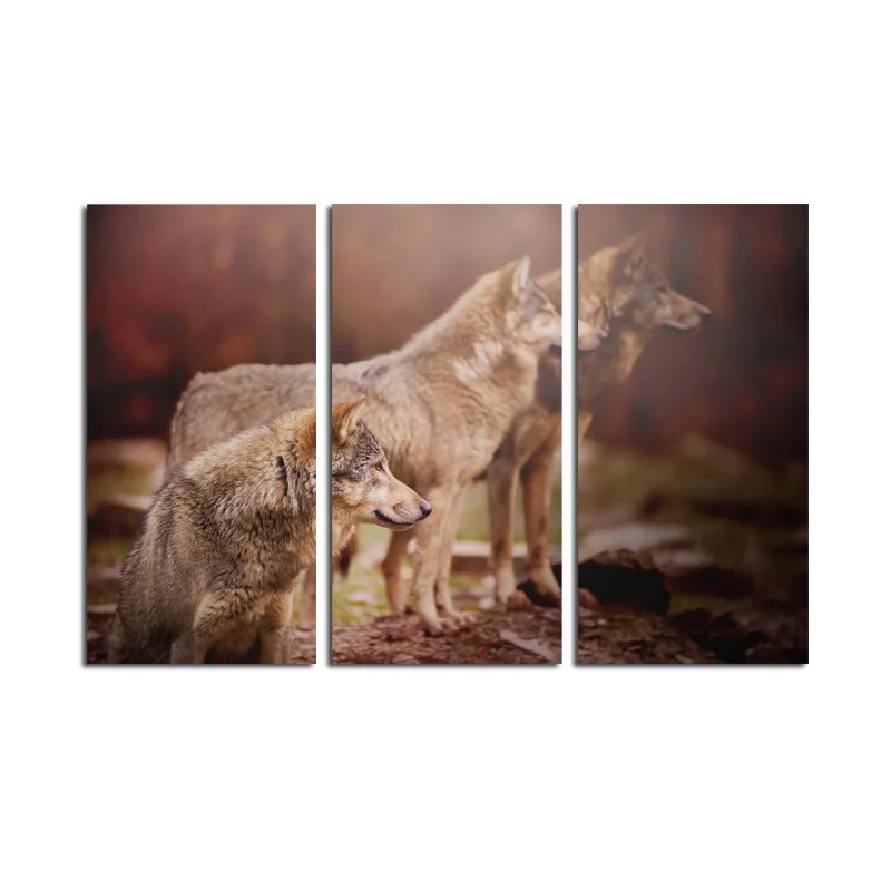 

Triple Warm Three Wolves Side Hope Background Computer Airbrush Painting AliExpress Amazon Wish Decorative Painting Core