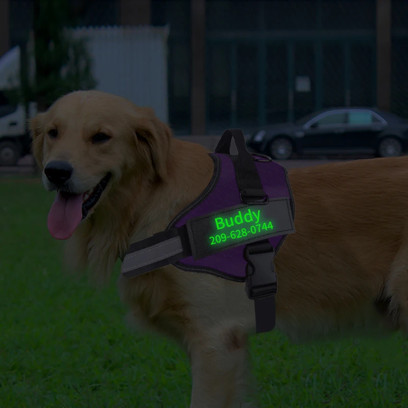 Personalized Dog Harness NO PULL Reflective Adjustable Dog Harness Vest  For Small Large Outdoor Walking + Fluorescent Patch