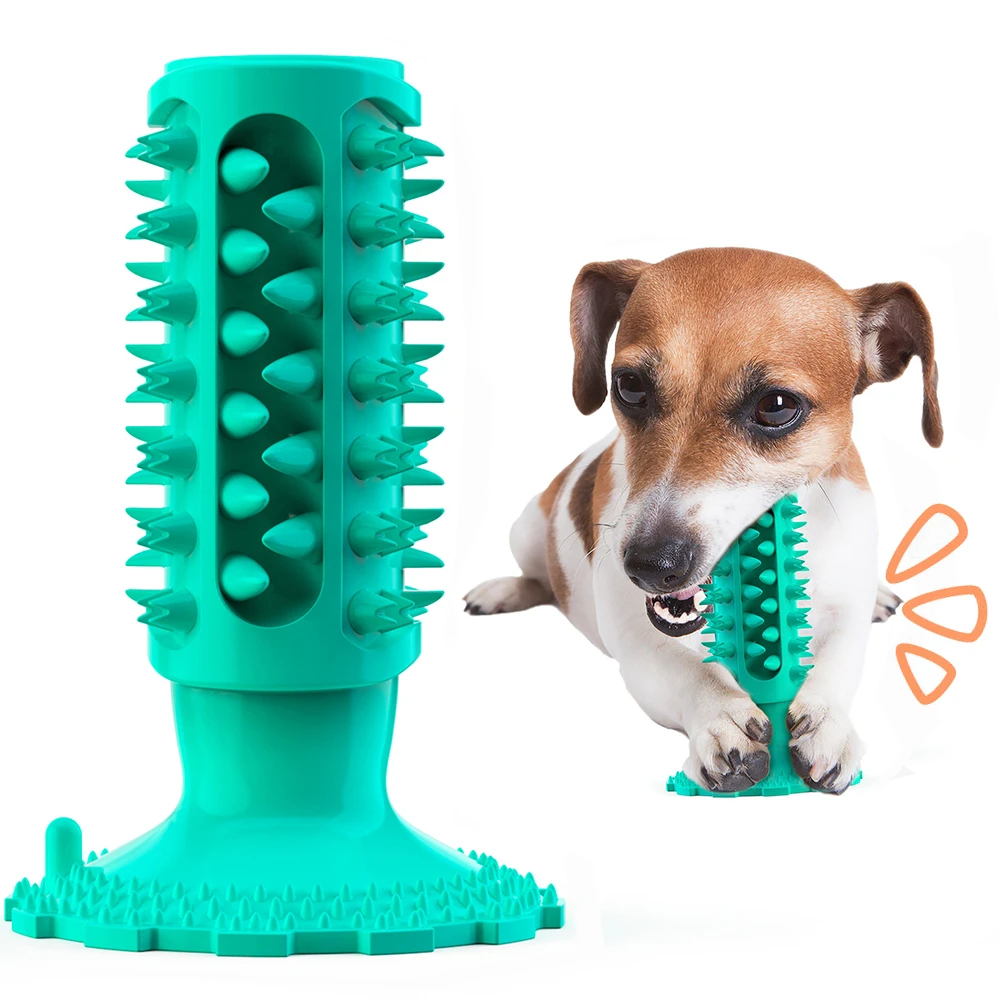 Ingrijpen Oorlogszuchtig Gek Cuttie Hond Speelgoed Voor Grote Honden Tandenborstel Squeak Speelgoed Voor  Kleine Honden Puppy Chew Speelgoed Hond Supply Accessoires Huisdier  Producten|Honden Speelgoed| - AliExpress