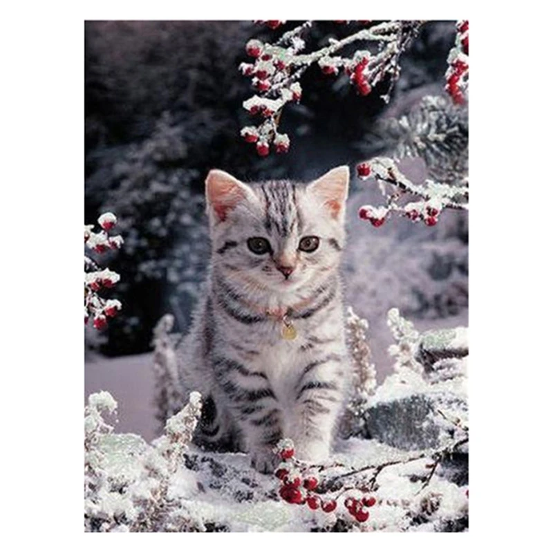 

Diy Diamond Painting Full Square Diamond Embroidery Animal Cat Diamond Painting