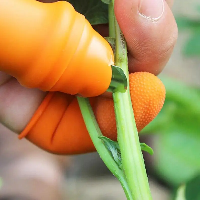 Picking Pepper Artifacts Picking Beans Agricultural Iron Nails Thumb Knife Cutting Vegetables Picking Tips Picking Special Glove