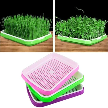 

Seed Sprouter Tray Seed Germination Tray 2-layer Micro Greens Seedling Set Kit Planting Tray+Bottom High Quality