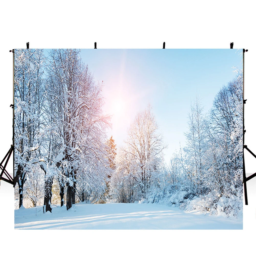 Aosto Photography Backdrop Newborns Baby Child Photo Booth Background Frozen Winter Snowy Forest Christmas Backdrop XT-4351 Aosto Photography Backdrop Newborns Baby Child Photo Booth Background Frozen Winter Snowy Forest Christmas Backdrop XT-4351