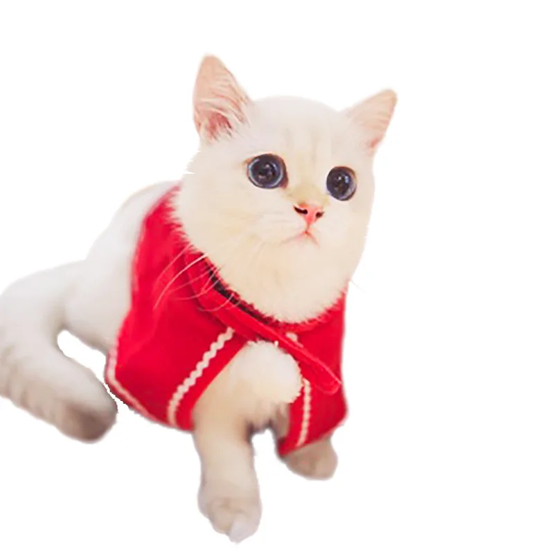 Одежда для собак и кошек костюм на Хэллоуин бейсболка с кошкой шарф костюм платье-плащ новогодний костюм плащ для домашних животных Рождественская одежда Mascotas
