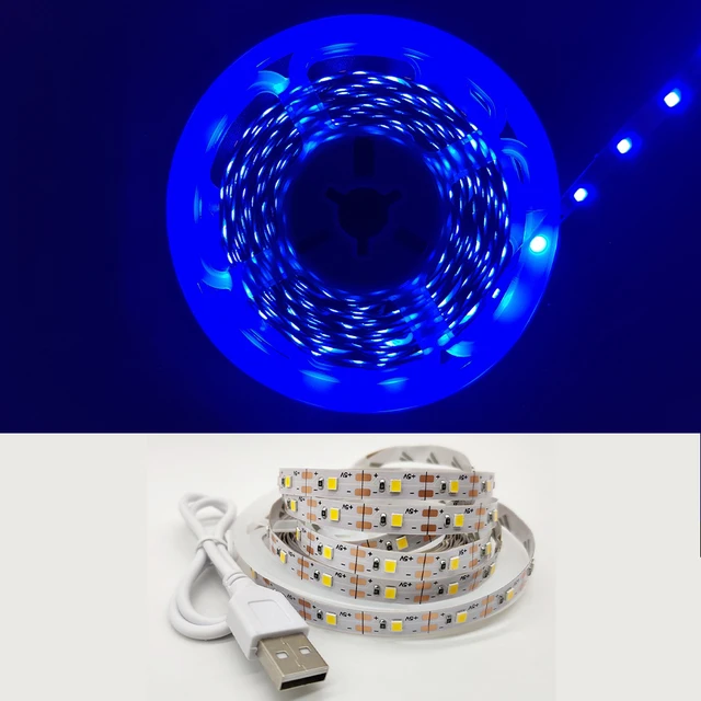 LED Light Strip luces USB Infrared Remote Control 5V RGB 2835 Flexible Lamp Tape Ribbon Diode For Festival Party TV Desk Bedroom Blue