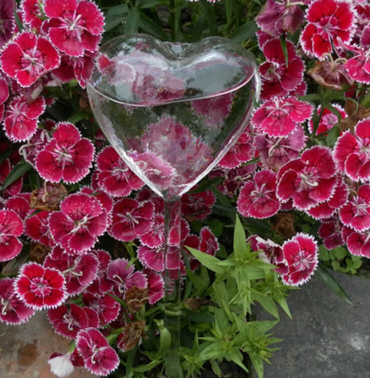 Glass Plant Flowers Water Feeder Automatic Self Watering Devices Bird Star Heart Design Plant Waterer 6 Types
