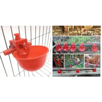 

20x Red Plastic Drinking Cups Chicken Hen Quail Waterer Bowls Bird Feeder Supply