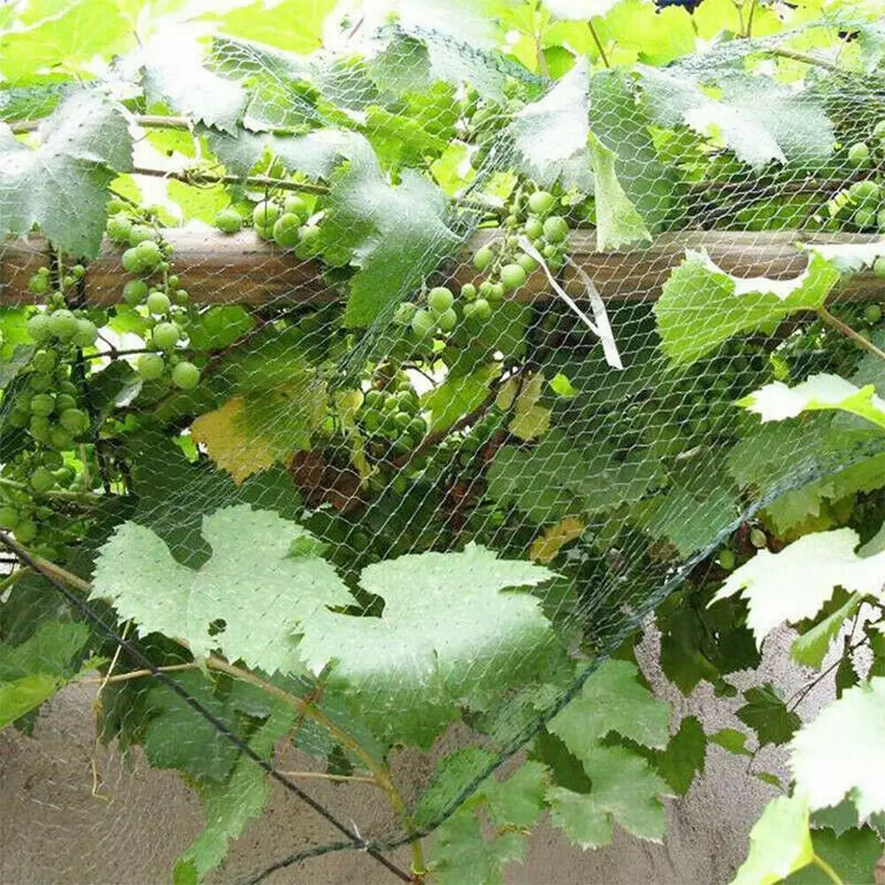Садовая оправа для защиты от птиц Ne садовая 20x20 мм альпинизма сетка растительное