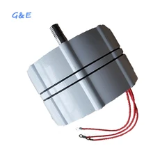 Brushless AC Generator Permanent Magnetic PMG For Horizontal or Vertical Wind Turbine 24V 48V