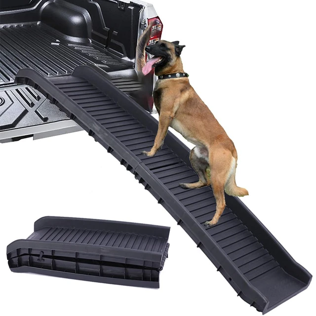 Escalier pour chiens de plus de 5kg, rampe légère et pliante pour animaux  de compagnie, pour