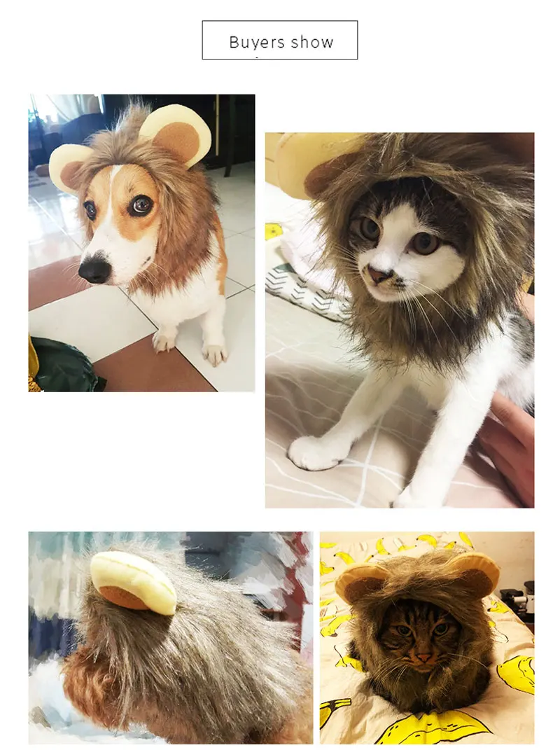 10956305066_1264281196