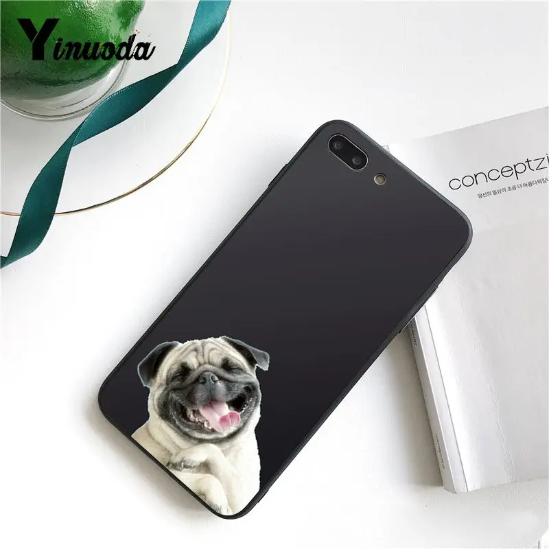 Cute  French Bulldog cartoon dog and cat