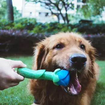 

Dog Chew Toys Durable Rose Teeth Cleaning Toys For Small Medium Dog Pet Molar Stick