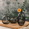 3Pcs Classic Creative Vase Top Quality Grass Black Transparent Home Deco Reagent Bottle Flower Vase Factory Wholesale ► Photo 2/6