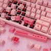 Mouse & Keyboards