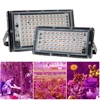 LED Grow Light 50W 100W Full Spectrum Phyto Growing Lamp Greenhouse Hydroponic Plant Growth Lighting. ► Photo 2/6