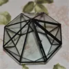 Minimalism Diamond shape Moss Glass Terrarium Black Geometric Glass Solder Terrarium Housing For Plants Home Decoration 3