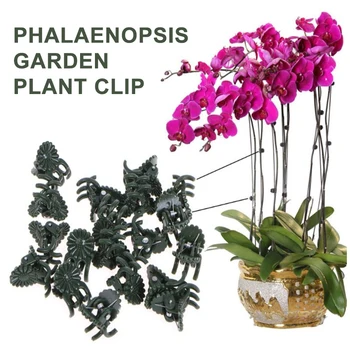 

50/100Pcs Vine Plastic Clips Hanging Stems Decoration Orchid Stalks Fix Flower Grow Upright Grafting Tool Garden Plant Support