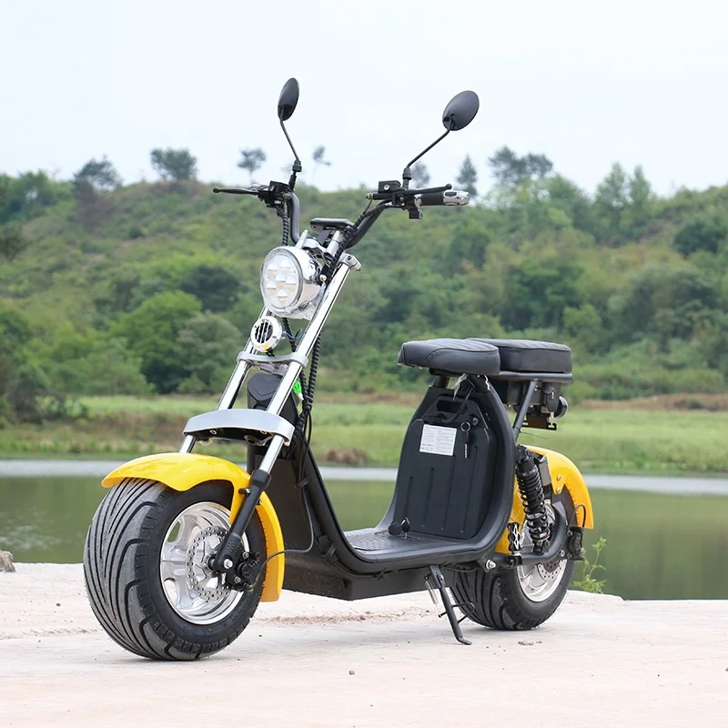 European warehouse SC11 10 inch EEC COC citycoco 1500w fat tire