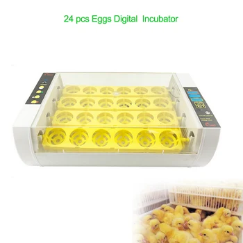 

60W Automatic Egg Incubator 24 Eggs Digital Clear Turning Temperature Control Farm Hatchery Machine Chicken Egg Hatcher Brooder