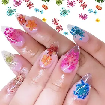 

12 Colors Rainbow Nail Art Real Natural Plant Petal Salon Decorations Selling Nail Hot 3D Dry Flower Dried Effect Gel Tip F X0T7