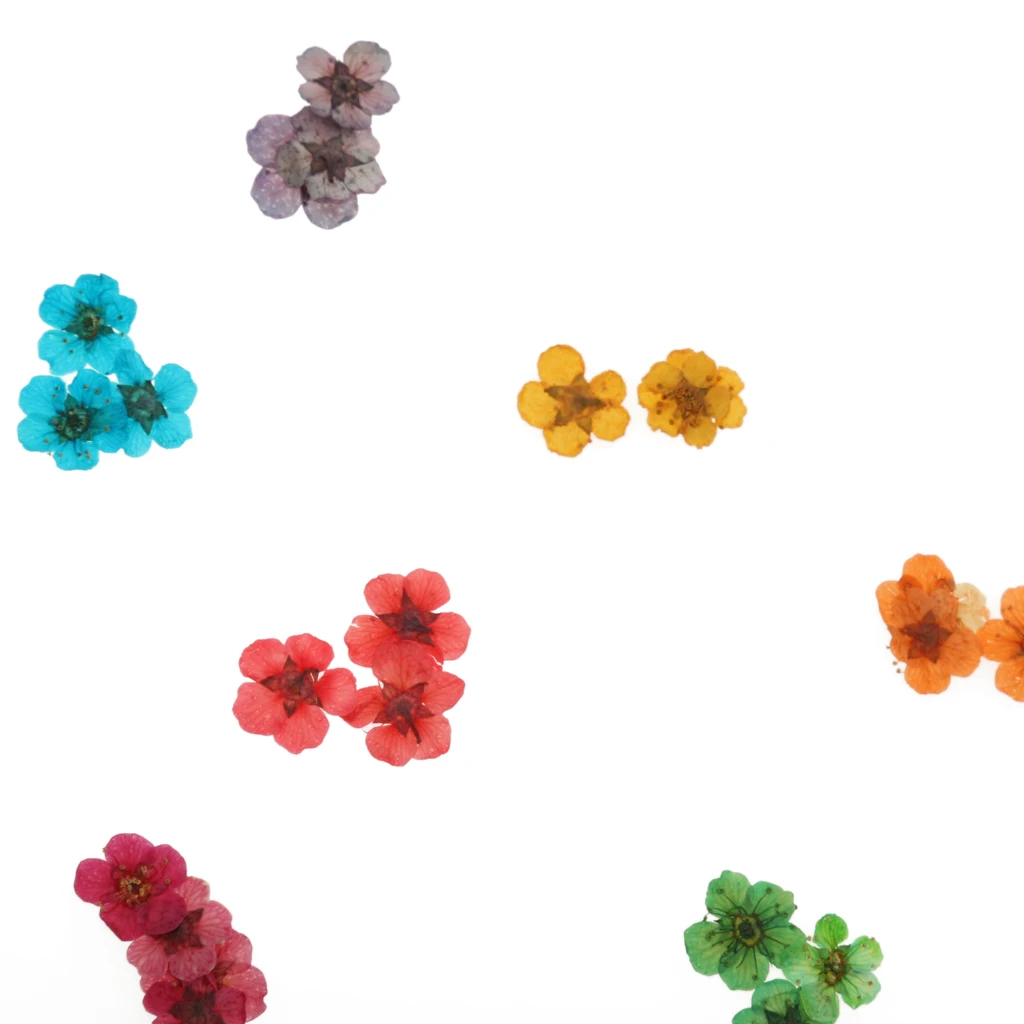 12 Colors Real Dry Dried Flower for 3D UV Gel Acrylic False Tips Nail Art Salon