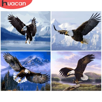 

HUACAN Painting By Number Animal Eagle Handpainted Wall Art Pictures By Number Sky Drawing Acrylic Gift Home Decor