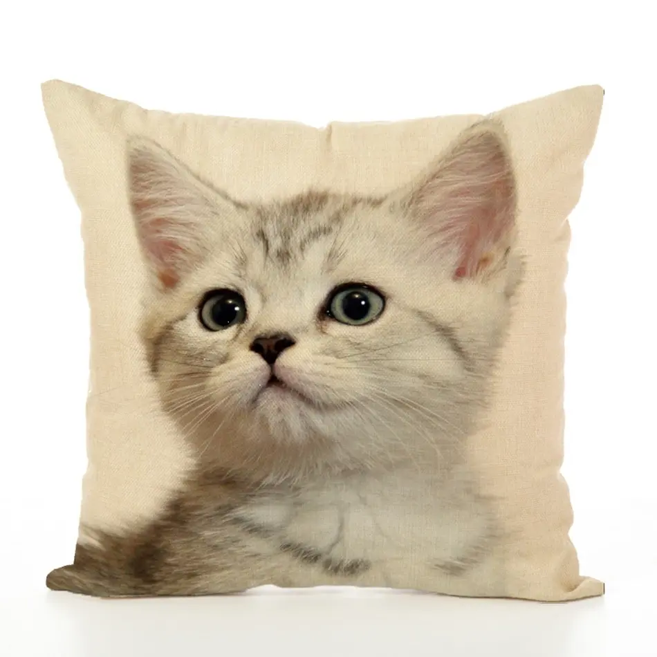 7379691767_941492023