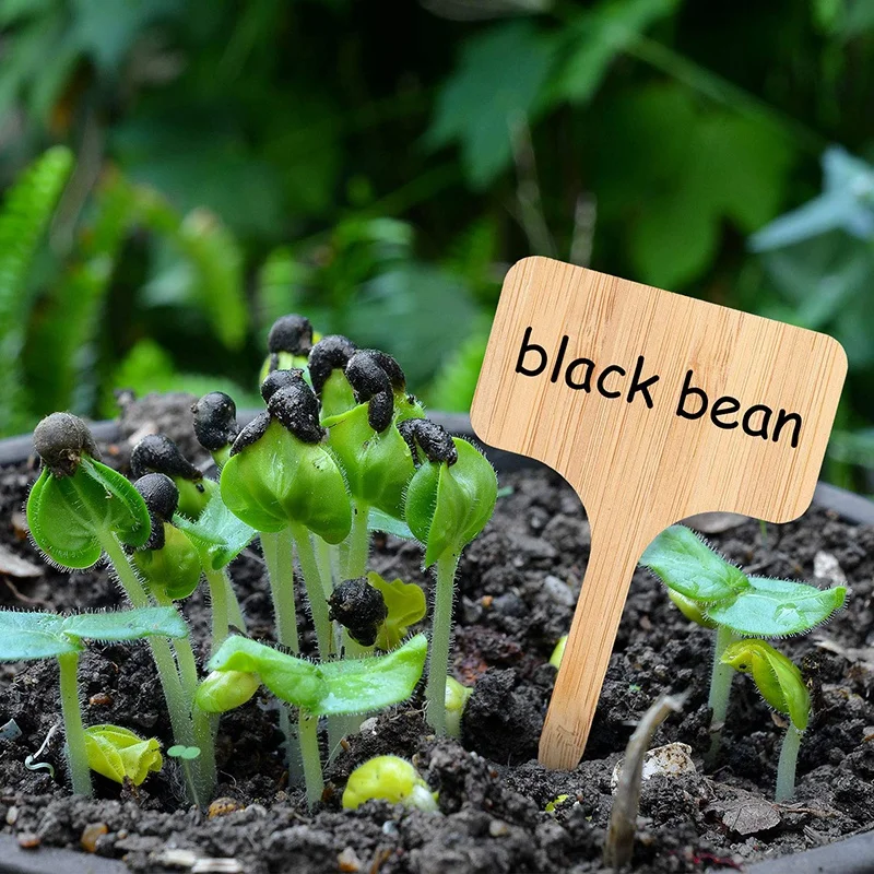 Bamboo Garden Plant Labels Garden Markers Bamboo Tags Seedling Signs Nursery Tags Reusable for Vegetable Herb Flowe