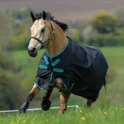 Equestrian Horse Riding Hug Horse Blanket Horse Clothes