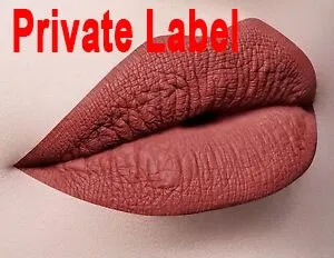 

private label matte liquid lipstick lip gloss custom logo on tube container box-Long lasting easy-to-color matte lip gloss