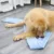 Собаки Нюхают Коврик Pet Leak Food Anti Choking Mat Cat Dog Training Blanket Nose Work Toy Pet Slowing Feeding Intelligence Mat